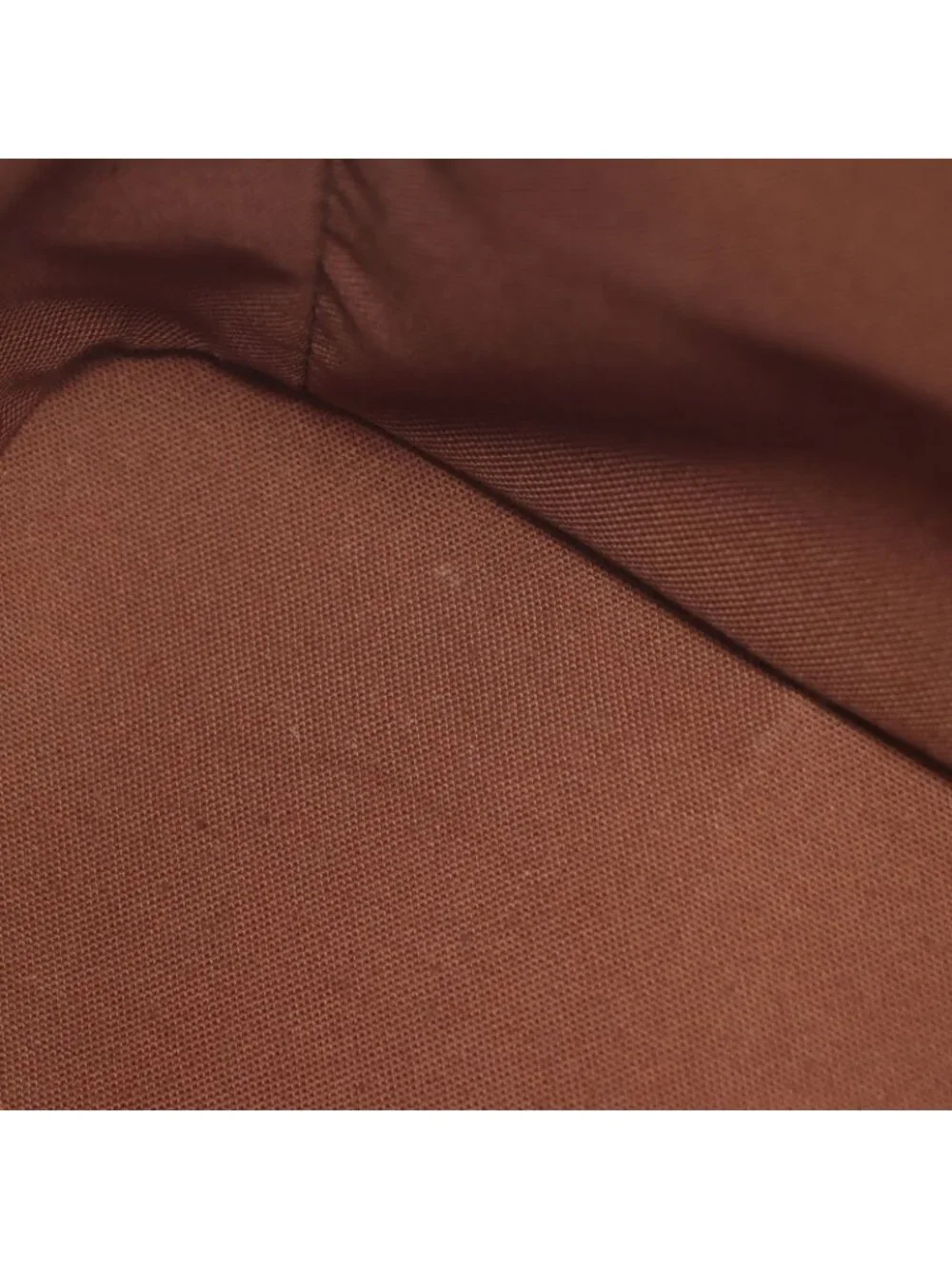 Louis Vuitton brand louis